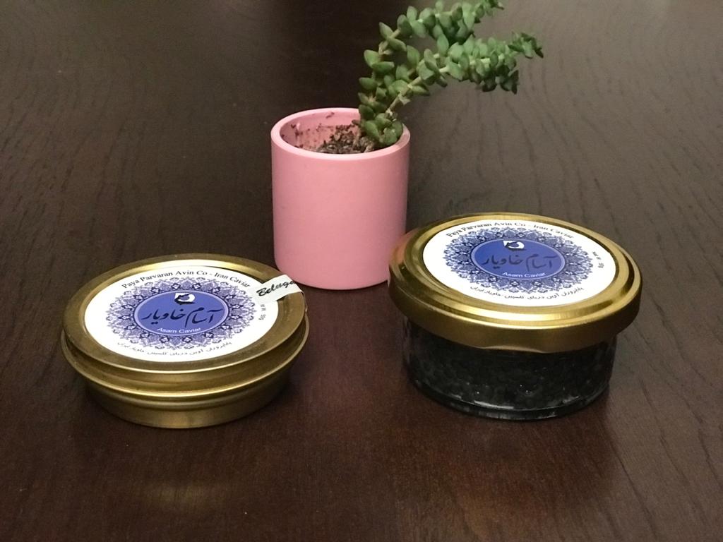 Beluga Caviar different taste, flavor, price of Iran caviar production from Caspian sea