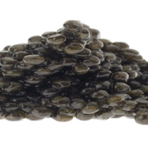 Baerii for export – import baerii caviar from iran- good price and quality