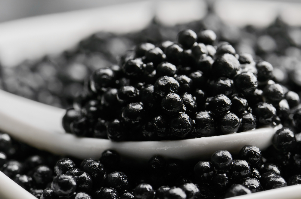 Beluga for export - import Beluga caviar from iran- good price and quality