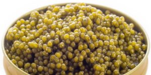 Osetra for export – import Osetra caviar from iran- good price and quality