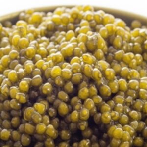 Osetra for export – import Osetra caviar from iran- good price and quality