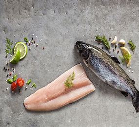 Trout or Salmon fish in iran export , taste , colorized - good price & quality