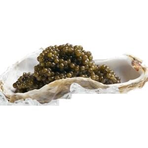 Gueldenstaedtii Caviar – Iranian Caspian sea Caviar